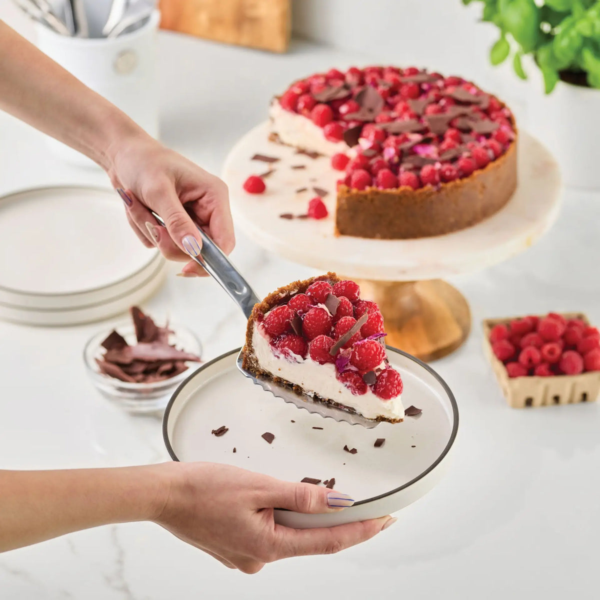 Using the Hestan Provisions® 10.5-inch Stainless Steel Pie & Cake Server, a person places a slice of raspberry-topped cheesecake with chocolate shavings onto a plate. The rest of the cheesecake remains on a round stand nearby, while a bowl of raspberries and other Hestan Provisions® Serving Tools sit in the background on a white countertop.